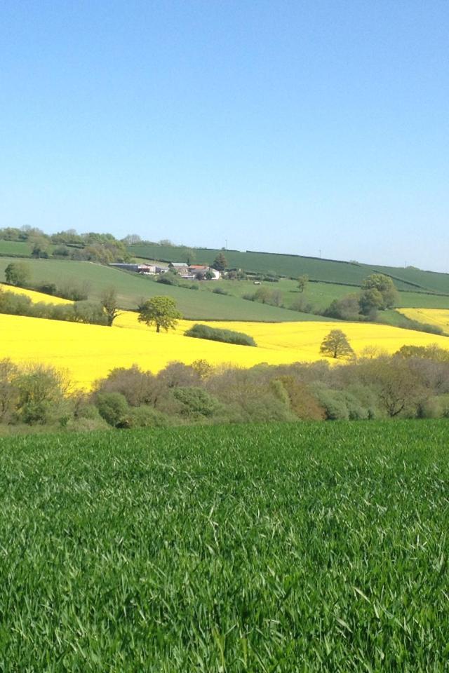 Harepath Farm Cottages 1 Exeter Luaran gambar