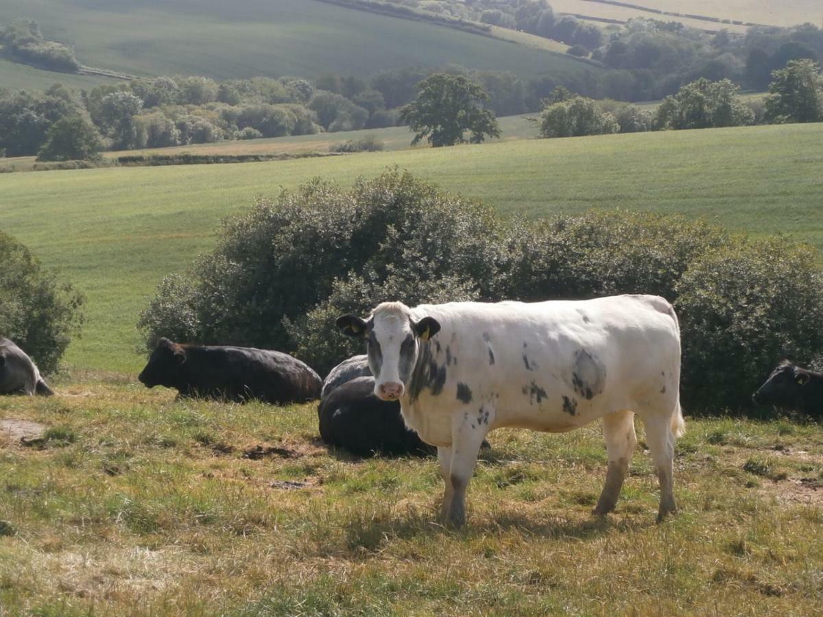 Harepath Farm Cottages 1 Exeter Luaran gambar